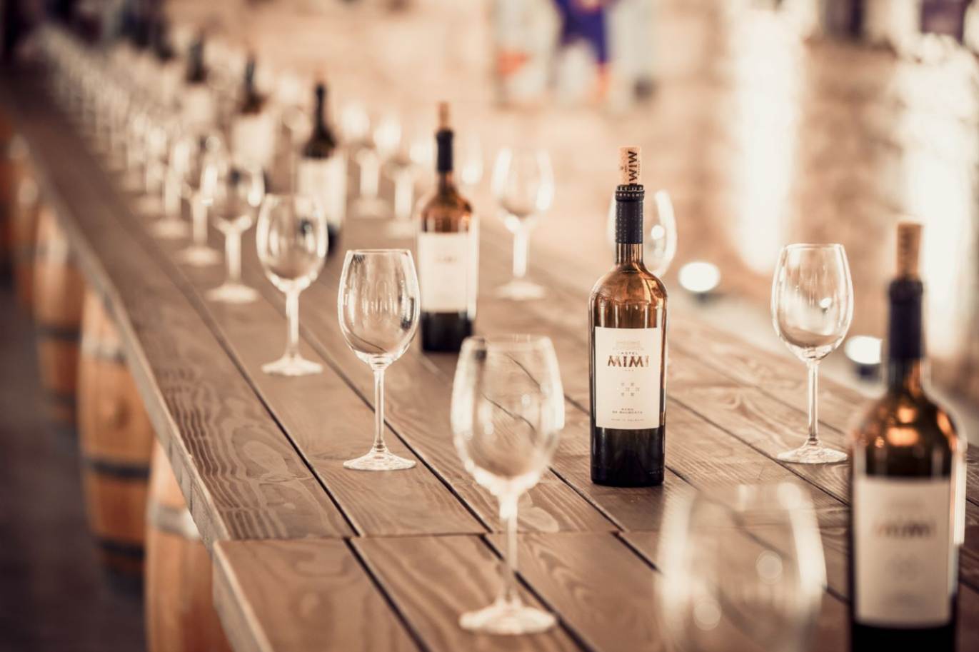 sticle de vin Castel Mimi pe masă pentru degustare profesională
