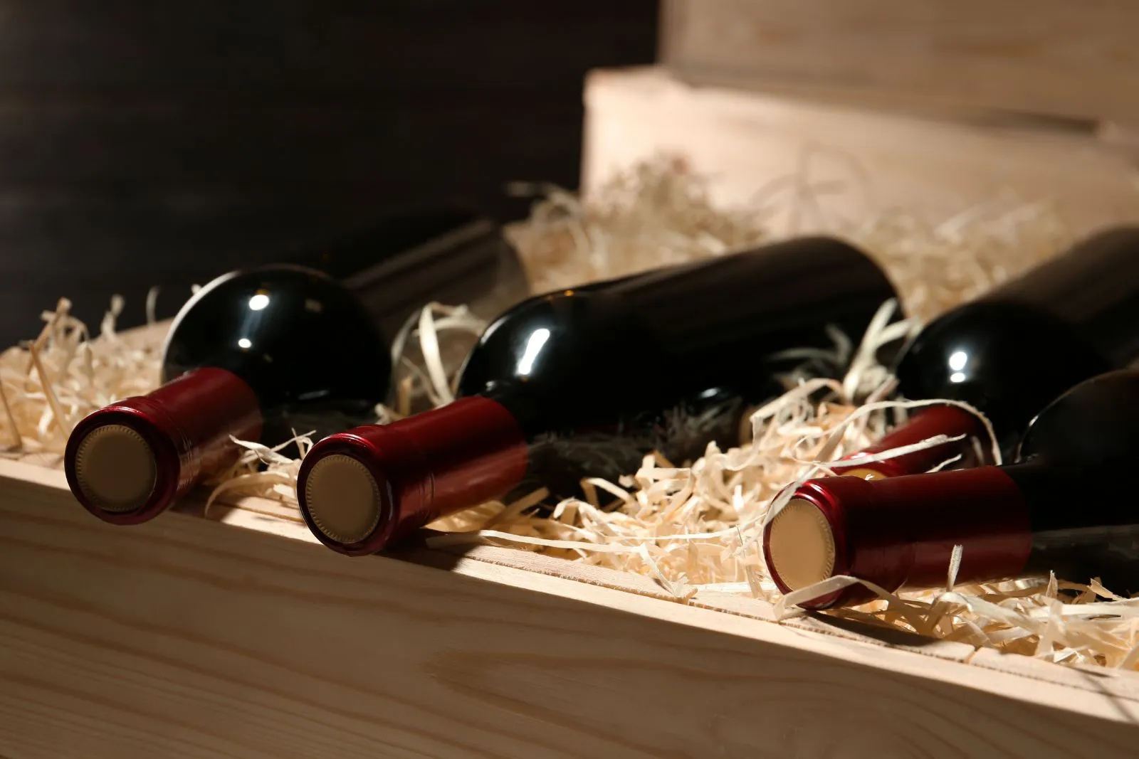 vin Castel Mimi